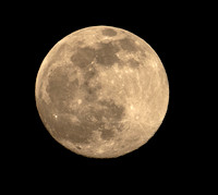 The Pink Full Moon, 19 April 2021, Mansfield, Tolland Co.