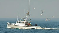 Private fisherman using the offshore waters