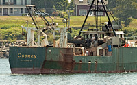 Commercial fishing fleet out of Gloucester